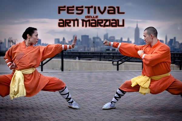 Festival delle arti marziali